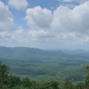 Meet your Posher, Bailey